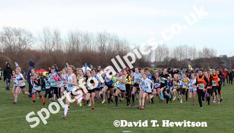 The start of the under-13 girls North Eastern Cross Country, Champs., Temple Park, South Shields. Photo: David T. Hewitson/Sports for All Pics